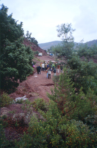 Tétraclinaie de la vallée de l'Ourika